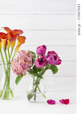 バラ　あじさい　カラー 53887683