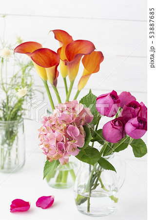 バラ　あじさい　カラー 53887685