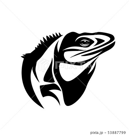 Iguana Lizard Black And White Vector Headのイラスト素材