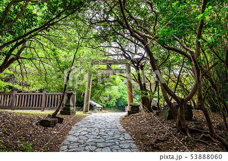 龍宮(鵜戸神社)参道 龍宮(鵜戸神社)参道 53888060