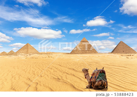 The Pyramids of Giza and a camel in the sand, Egypt 53888423