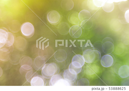 Sunlight green bio background, abstract blurred 53888625