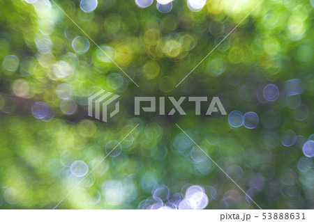 Sunlight green bio background, abstract blurred 53888631