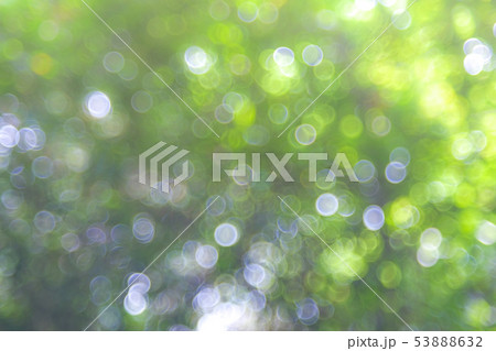 Sunlight green bio background, abstract blurred 53888632