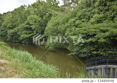【大阪府 堺市】世界遺産・百舌鳥古墳群(大安寺山古墳) 【大阪府 堺市】世界遺産・百舌鳥古墳群(大安寺山古墳) 53889048