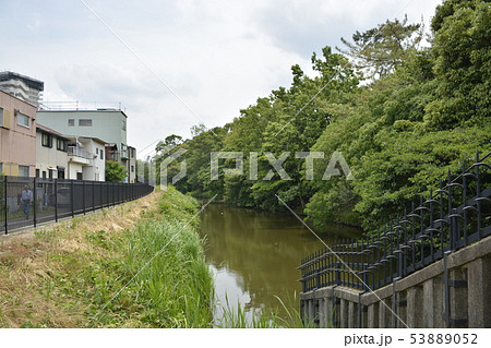 【大阪府 堺市】世界遺産・百舌鳥古墳群(大安寺山古墳) 【大阪府 堺市】世界遺産・百舌鳥古墳群(大安寺山古墳) 53889052
