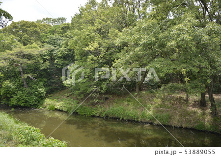 【大阪府 堺市】世界遺産・百舌鳥古墳群(大安寺山古墳) 【大阪府 堺市】世界遺産・百舌鳥古墳群(大安寺山古墳) 53889055