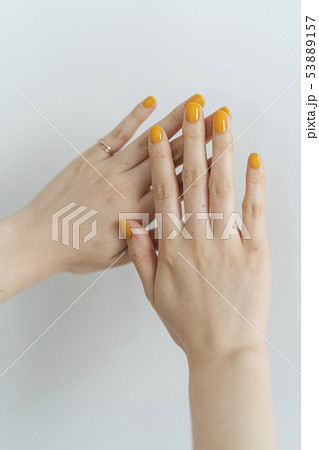 女性の手 女性の手 53889157