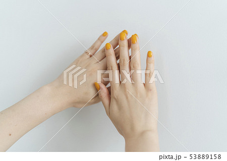 女性の手 53889158