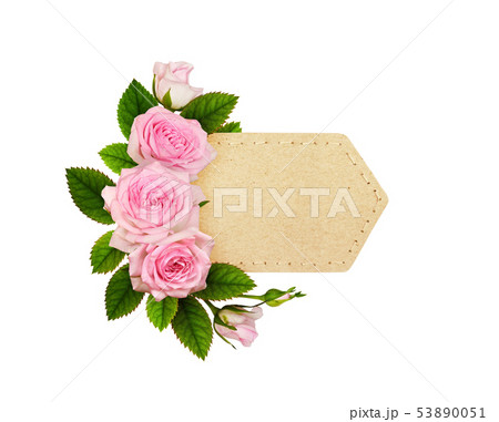Pink rose flowers on craft paper label Pink rose flowers on craft paper label 53890051
