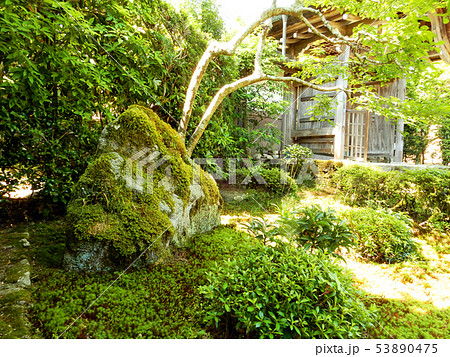 坂本　里坊庭園　寿量院 53890475