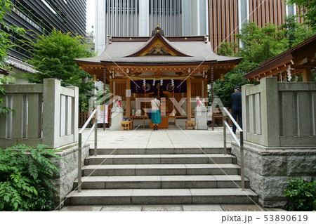 東京の福徳神社にお参りする女性の後ろ姿と参拝客 53890619