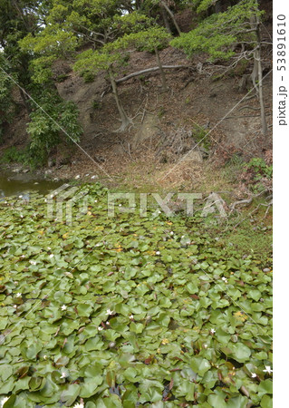【大阪府 堺市】世界遺産・百舌鳥古墳群(永山古墳) 【大阪府 堺市】世界遺産・百舌鳥古墳群(永山古墳) 53891610