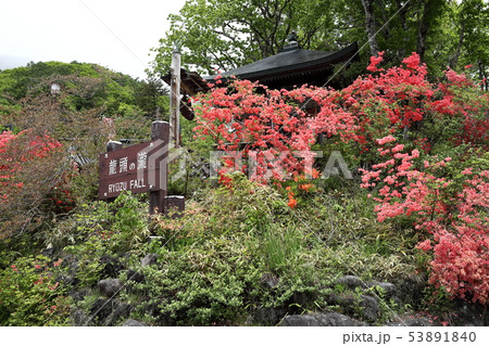 雨間の奥日光　竜頭の滝滝壺入口付近の風景 53891840