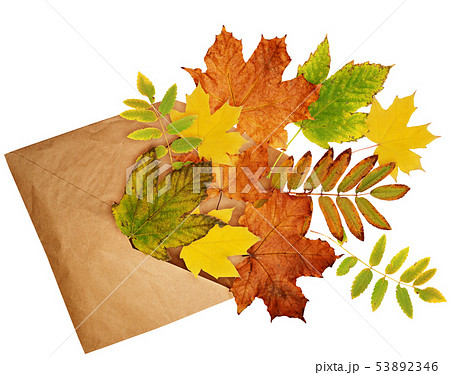 Opened craft paper envelope with scattered dry 53892346