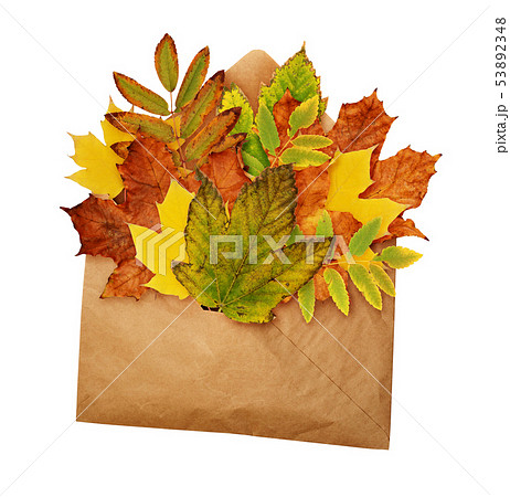 Opened craft paper envelope with dry autumn leaves 53892348