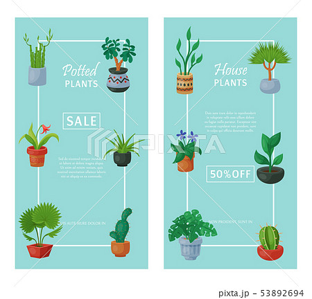 House Flowers Indoor Floriculture Banner Vector Stock Illustration