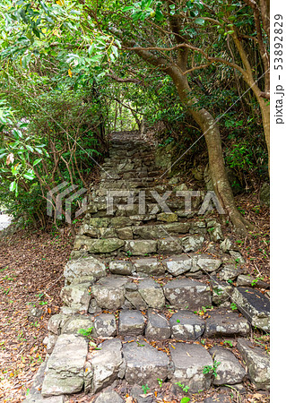 鵜戸神社の石段 大御神社境内 53892829