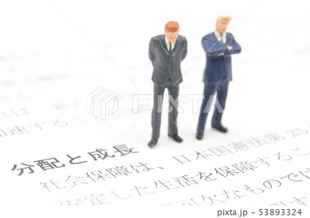 分配と成長 53893324