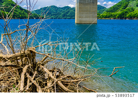 宝仙湖 宝仙湖 53893517