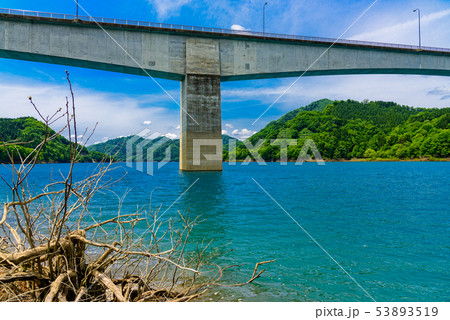 宝仙湖 宝仙湖 53893519