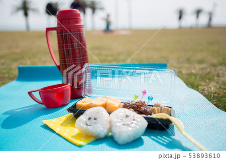 空の下のピクニックのお弁当 空の下のピクニックのお弁当 53893610