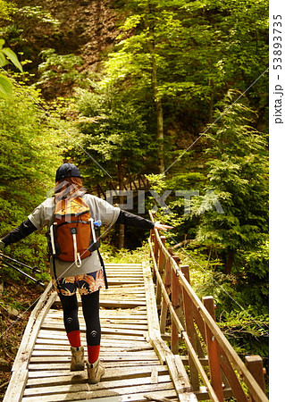 ぐらつく橋 ぐらつく橋 53893735