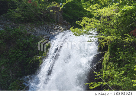 秋保大滝 滝 仙台市 秋保 水 秋保大滝 滝 仙台市 秋保 水 53893923