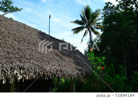 マダガスカル　ナハンプアナ自然保護区休憩所 53894184