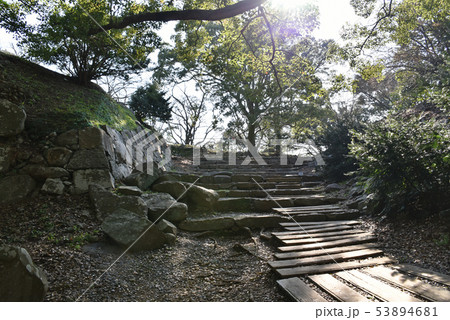 名護屋城　本丸大手門跡 53894681