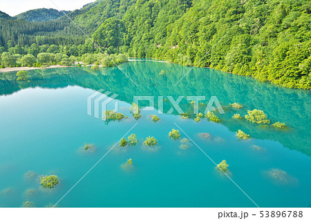 【エメラルドグリーンの宝仙湖 玉川】 秋田県仙北市田沢湖玉川新玉川大橋 53896788