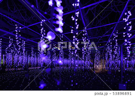冬景色 クリスマスイルミネーション 冬景色 クリスマスイルミネーション 53896891