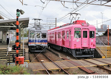 めでたい電車　南海電鉄　和歌山 53896908