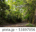 武庫川渓谷　廃線 53897056