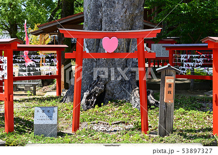 筑後市　パワースポット　恋木神社 53897327