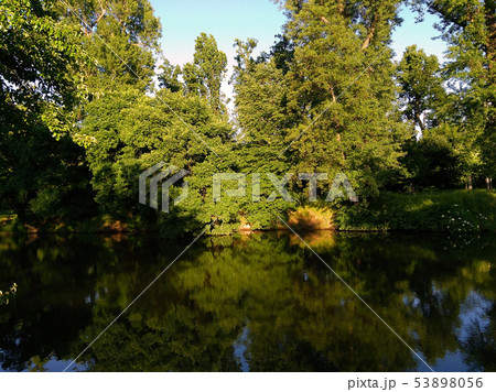Landscape trees near the water in the park Landscape trees near the water in the park 53898056