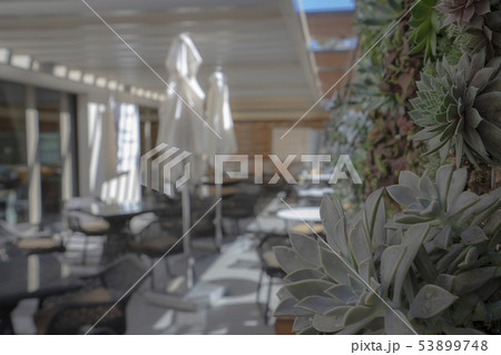 リゾートホテルのラウンジ　オアフ島２ 53899748