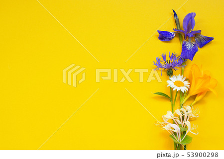 Bright frame of summer flowers on the yellow 53900298