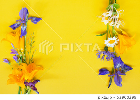 Bright frame of summer flowers on the yellow 53900299