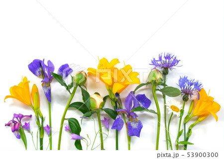 Bright composition of summer flowers on the white 53900300