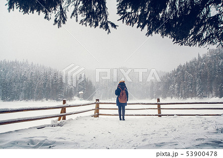 A young girl is having a walk through a thick forest during a beautiful winter day A young girl is having a walk through a thick forest during a beautiful winter day 53900478
