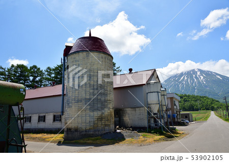 初夏の北海道倶知安町でサイロのある牧場の風景を撮影 53902105