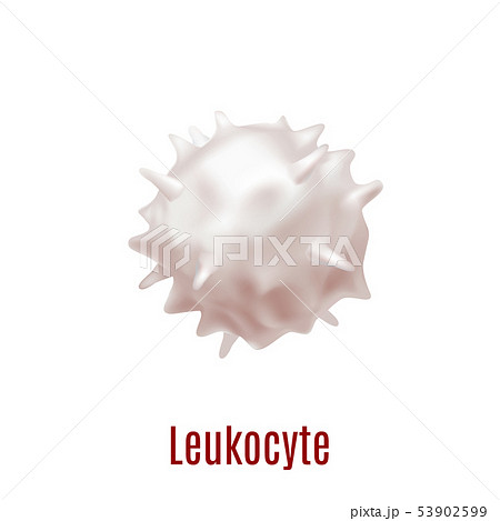 White Blood Cell Leukocyte in Realistic Style White Blood Cell Leukocyte in Realistic Style 53902599
