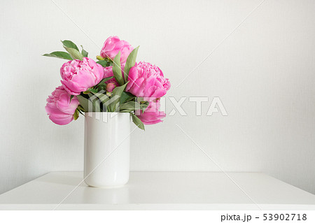 Pink peony in vase on white. Copy space for text. 53902718