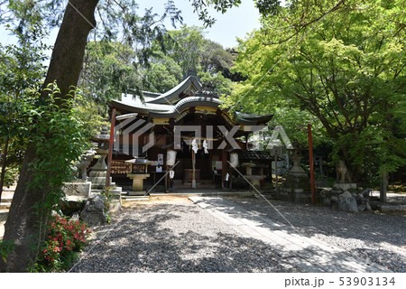 粟田神社　本殿　 53903134