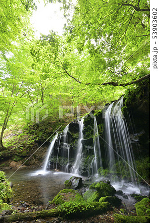 猿壺の滝（兵庫県美方郡） 53903602