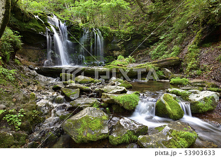 猿壺の滝(兵庫県美方郡) 猿壺の滝(兵庫県美方郡) 53903633
