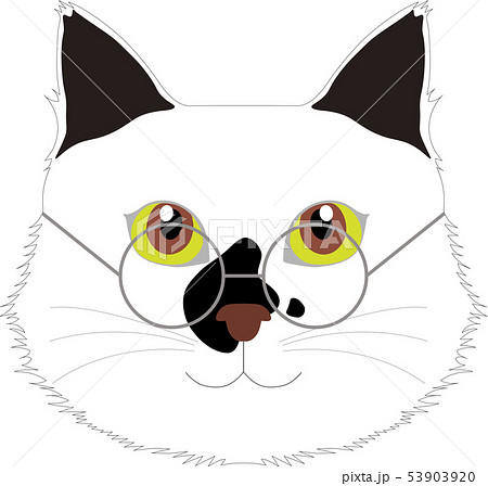 真面目そうな猫のイラスト素材 真面目そうな猫のイラスト素材