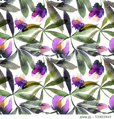 Watercolor painted lupines Watercolor painted lupines 53903934