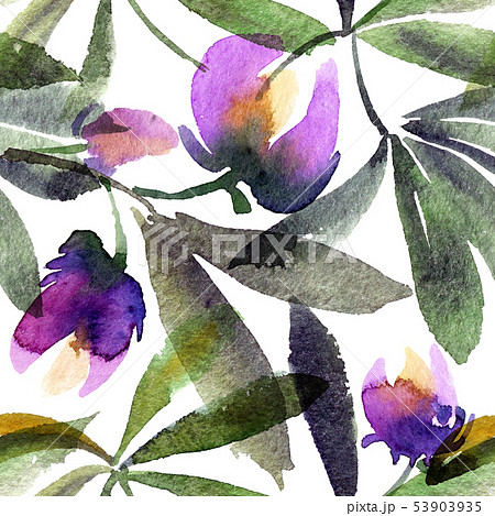 Watercolor painted lupines Watercolor painted lupines 53903935